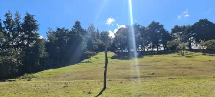 FINCA EN VENTA EN FRAIJANES / MUNDO INMOBILIARIO - 6