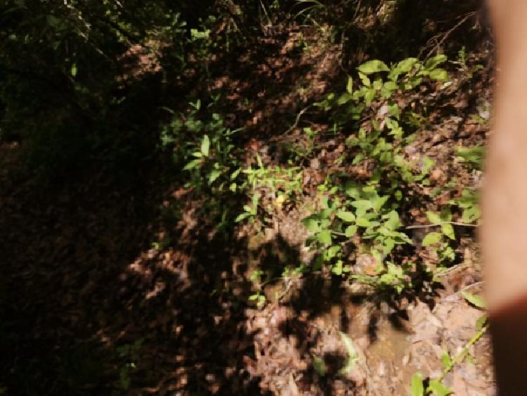 TERRENO EN VENTA EN KM 21.5 EN MIXCO — foto 2