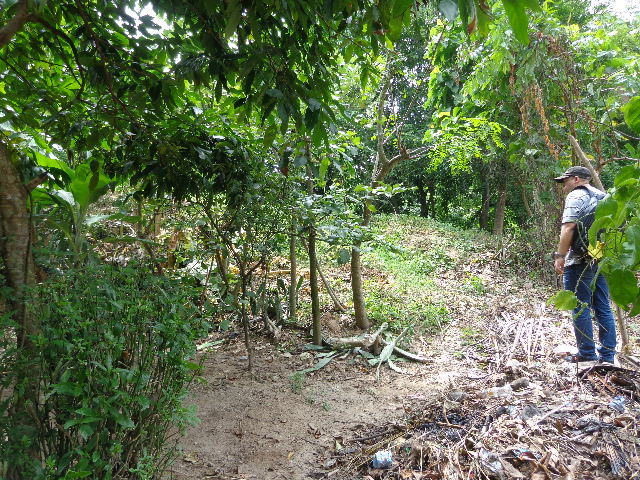 Terreno Escuintla Tiquisate - Miniatura 3