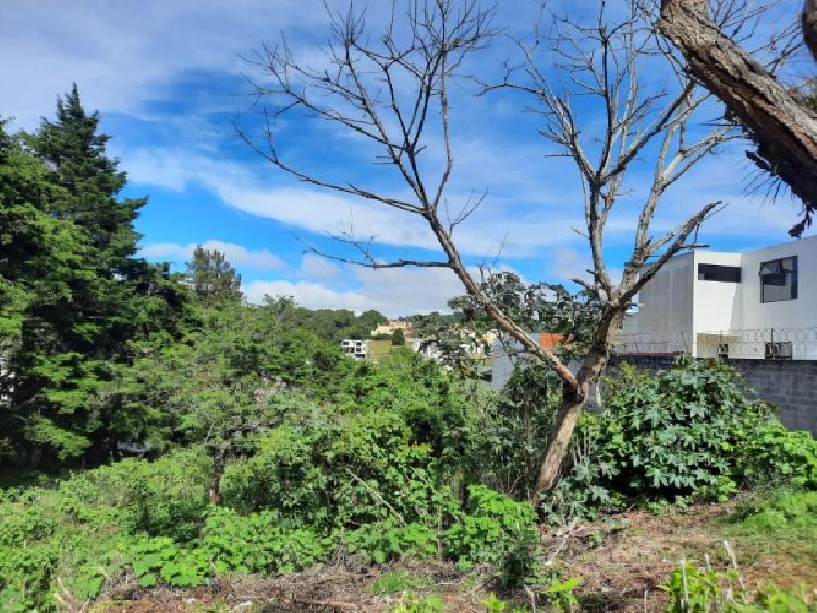 TERRENO EN VENTA EN KM 21.5 CARRETERA A FRAIJANES — foto 4