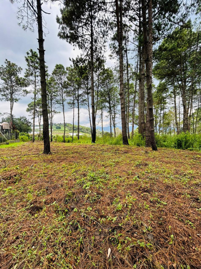 Terreno en venta en Sumpango Hacienda Las Llanuras - 4