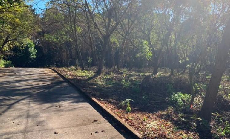 TERRENO EN VENTA EN CASA Y CAMPO, KM 23.5 CAES — foto 4