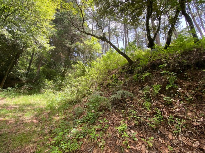 Terreno en venta, Encinal zona 7 Mixco - Image 2