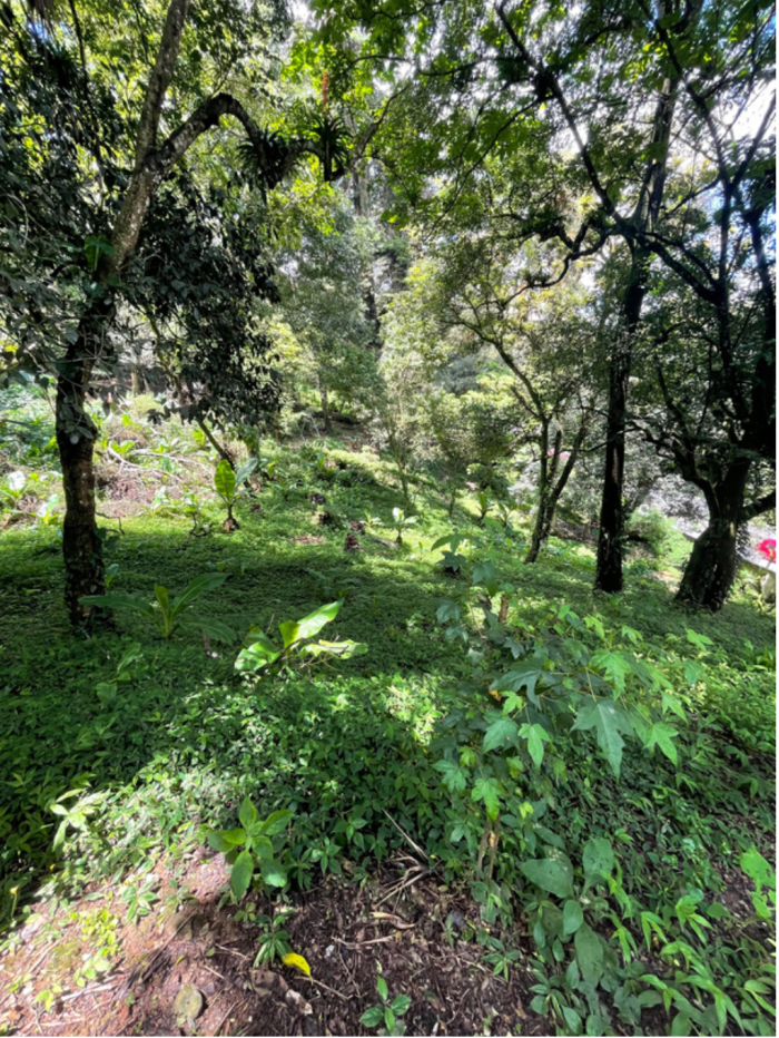 Terreno en venta Vistalvalle, km. 10.5 CAES — foto 4