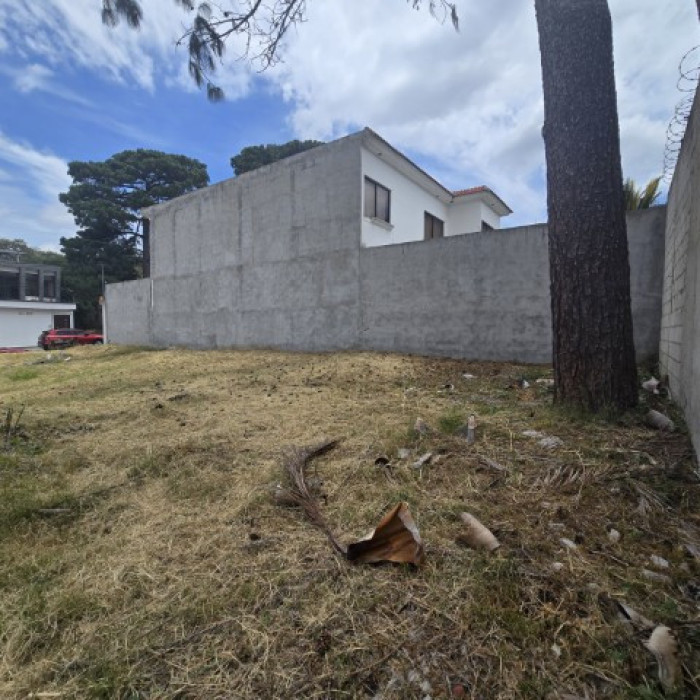 Terreno en Venta Pinares de San Cristóbal, Zona 8 Mixco - Miniatura 9
