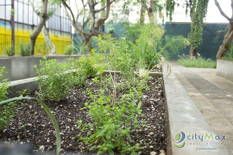 Se alquila oficina en zona 11 Guatemala - Miniatura 10