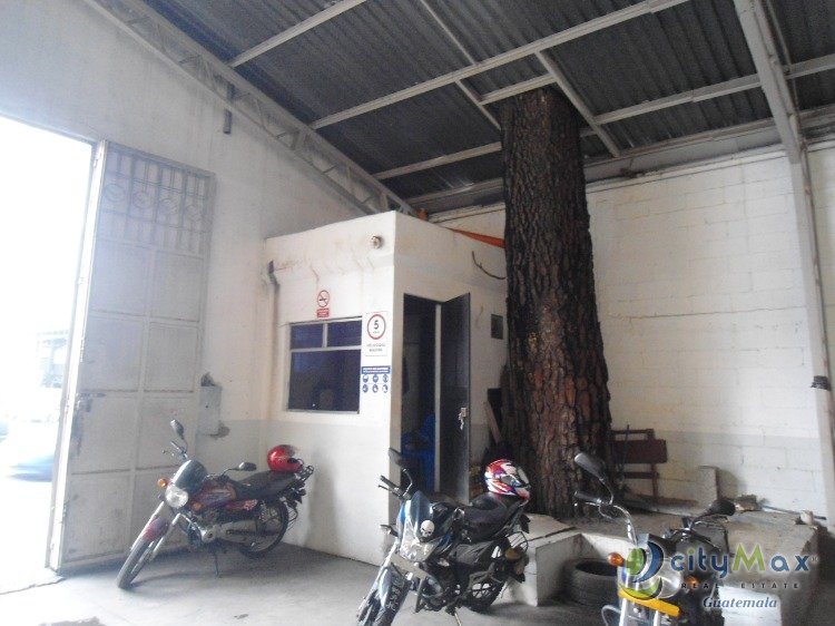 Bodega Local Comercial  Renta, zona 9 ciudad  Guatemala - Miniatura 3