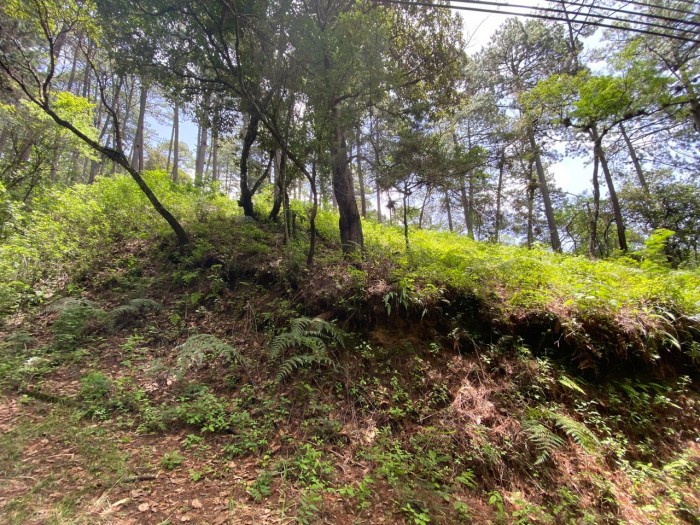 Terreno en venta, Encinal zona 7 Mixco - Image 3