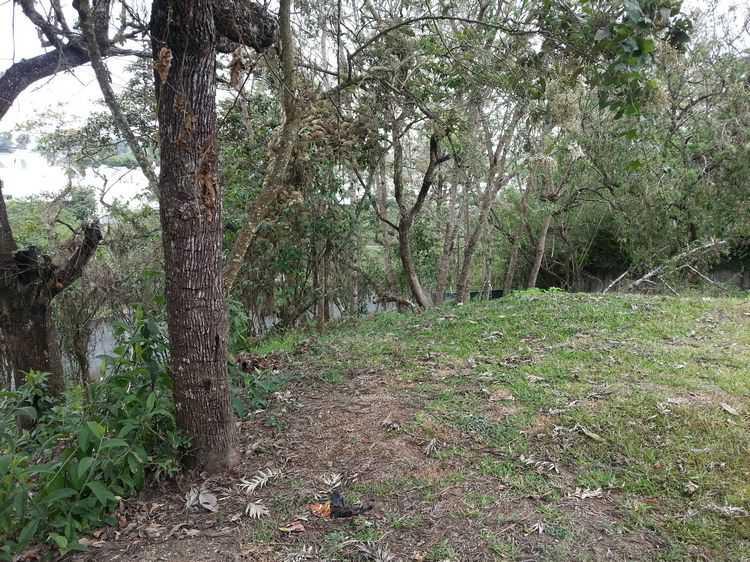 VENDO TERRENO DE 880.00 Vrs2. EN CONDOMINIO DE ZONA 16 - Miniatura 7