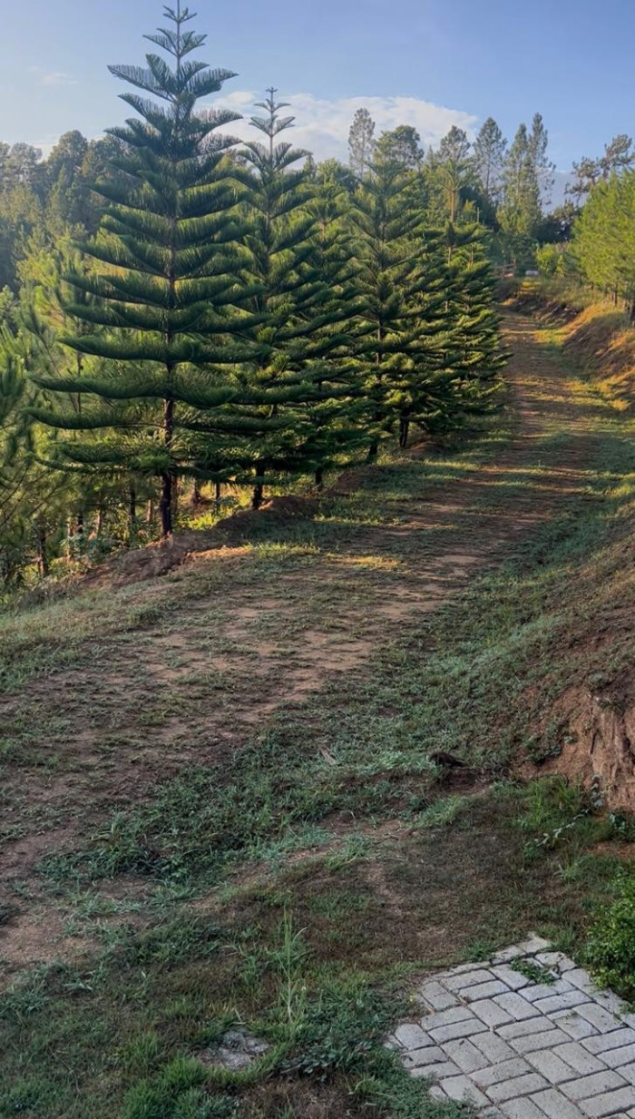 VENTA DE TERRENO EN SAJOMA, LOS MONTONES - 3