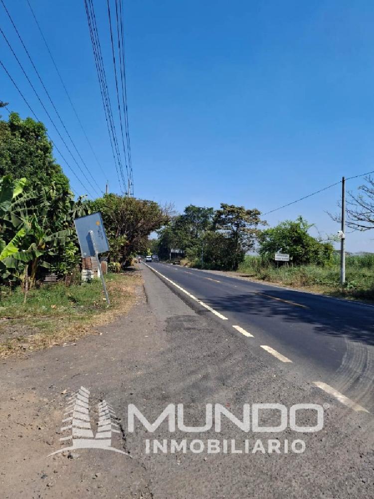 FINCA EN VENTA CARRETERRA ANTIGUA AL PUERTO SAN JOSÉ — foto 5