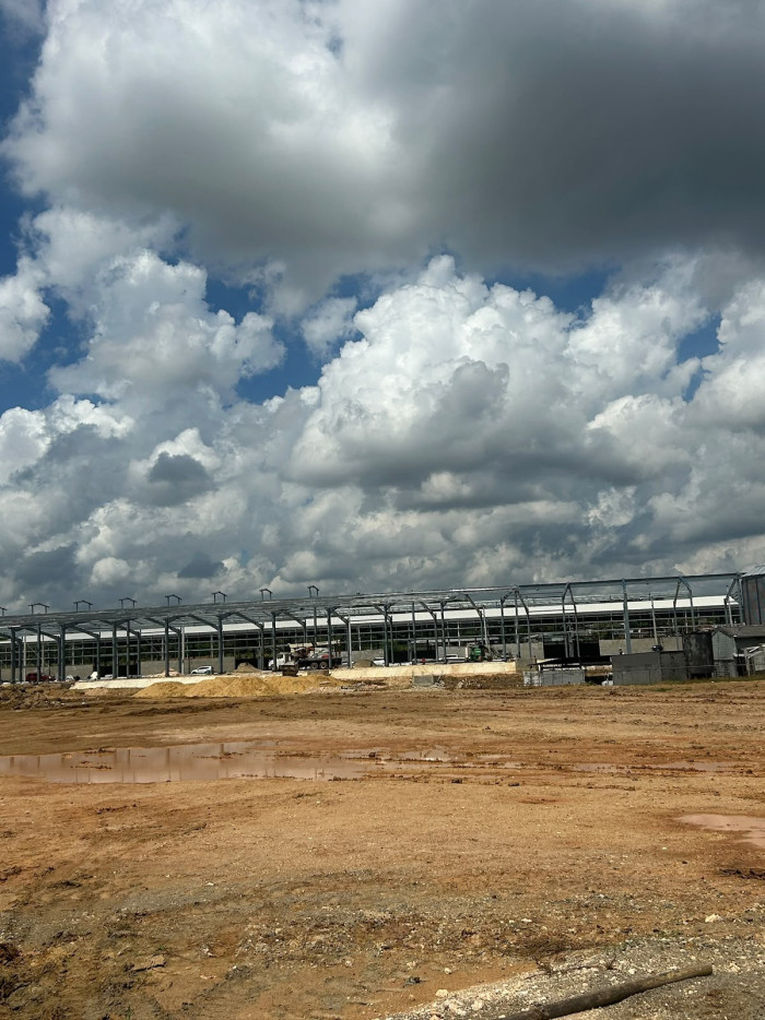 NAVES COMERCIALES EN RENTA Y VENTA MERCA SANTO DOMINGO - 2