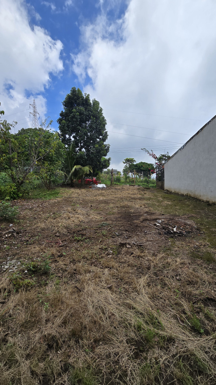 Terreno en venta en la Ruta de las Flores Salcoatitán - 3