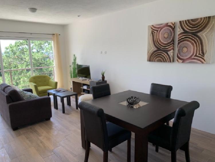 APARTAMENTO AMUEBLADO EN RENTA EN ZONA 16 — foto 10