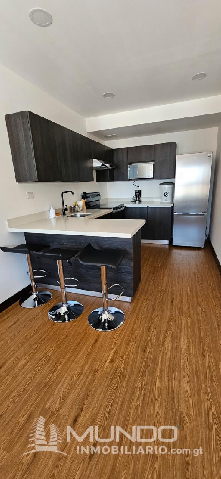 APARTAMENTO AMOBLADO EN RENTA ZONA 10/MI — foto 6