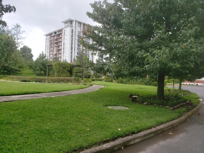 ZONA 16. RENTO APARTAMENTO EN VILLAS DE SAN ISIDRO — foto 11