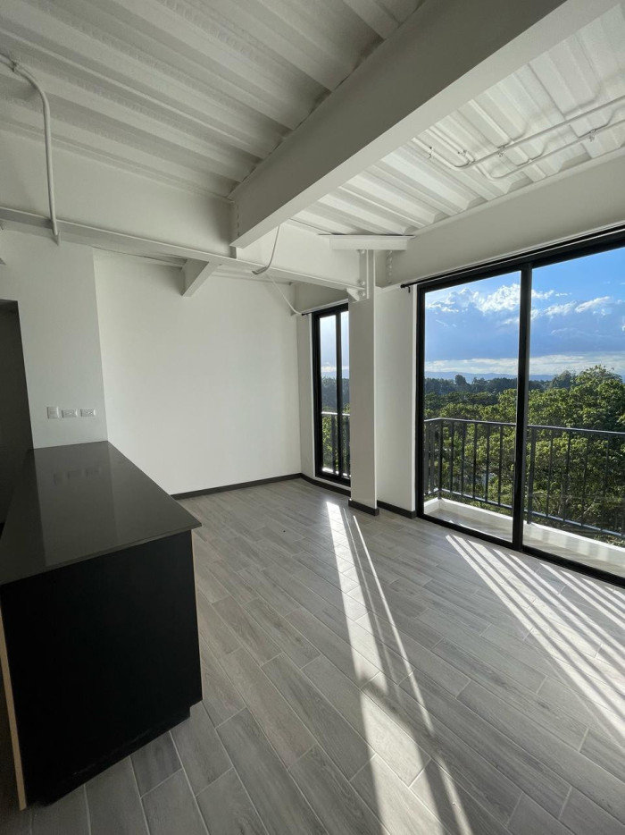 APARTAMENTO EN RENTA EN ZONA 16 — foto 2