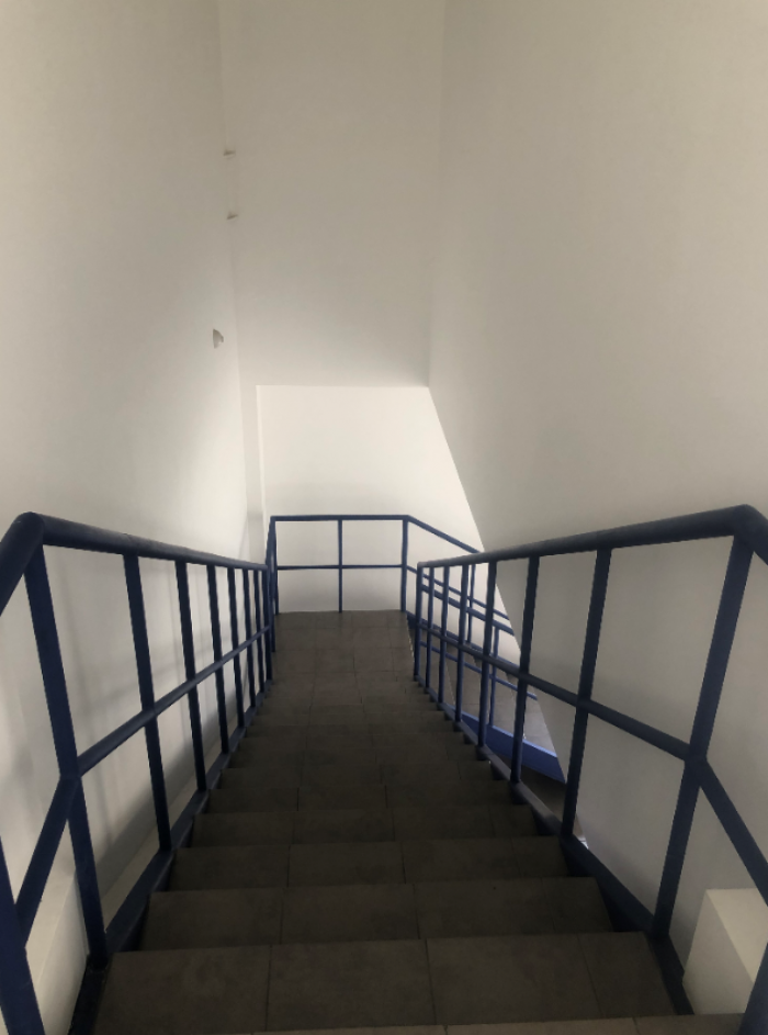 Ofibodega en venta o renta en el naranjo zona 4 - Miniatura 6