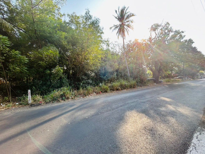TERRENO GRANDE EN VENTA EN IZTAPA PARA DESARROLLO - 15