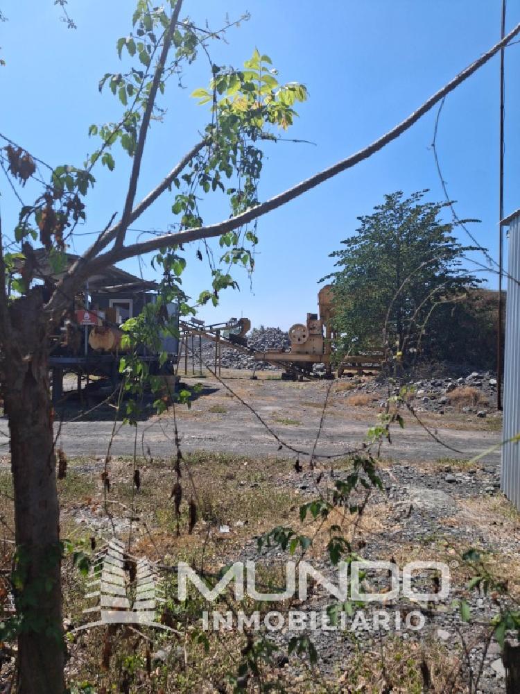 FINCA EN VENTA CARRETERRA ANTIGUA AL PUERTO SAN JOSÉ — foto 7