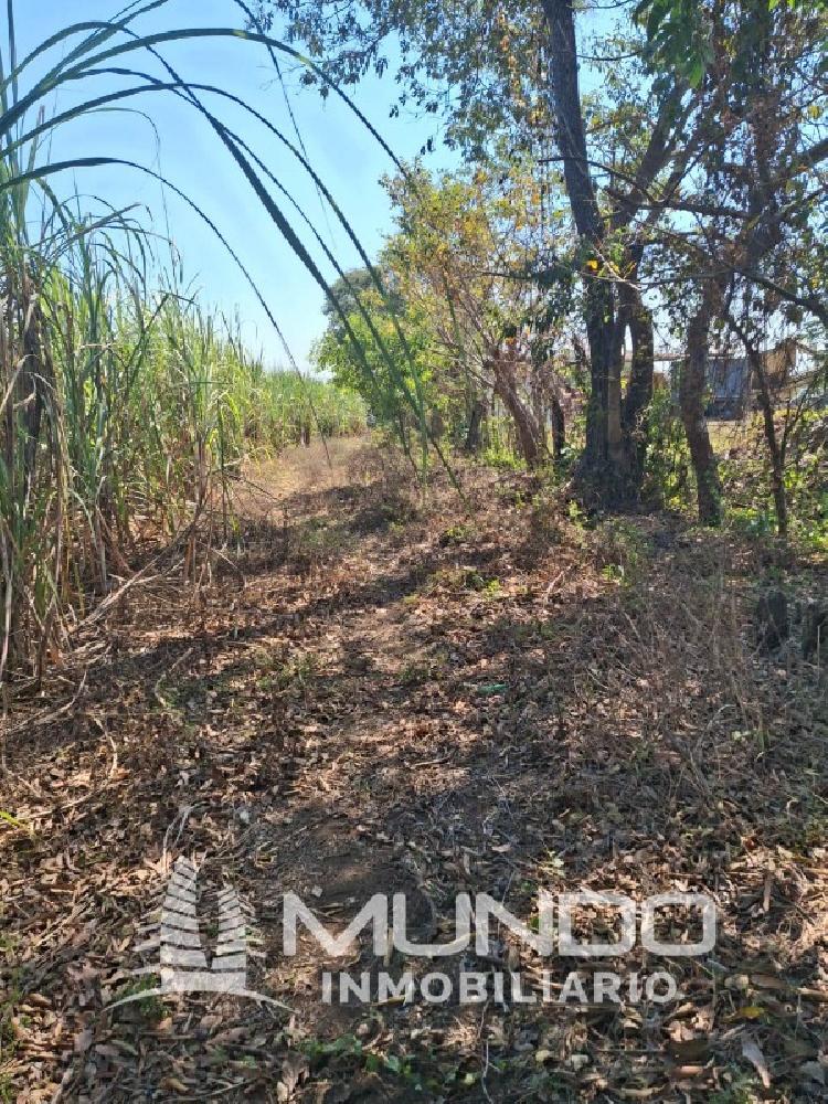 FINCA EN VENTA CARRETERRA ANTIGUA AL PUERTO SAN JOSÉ — foto 10