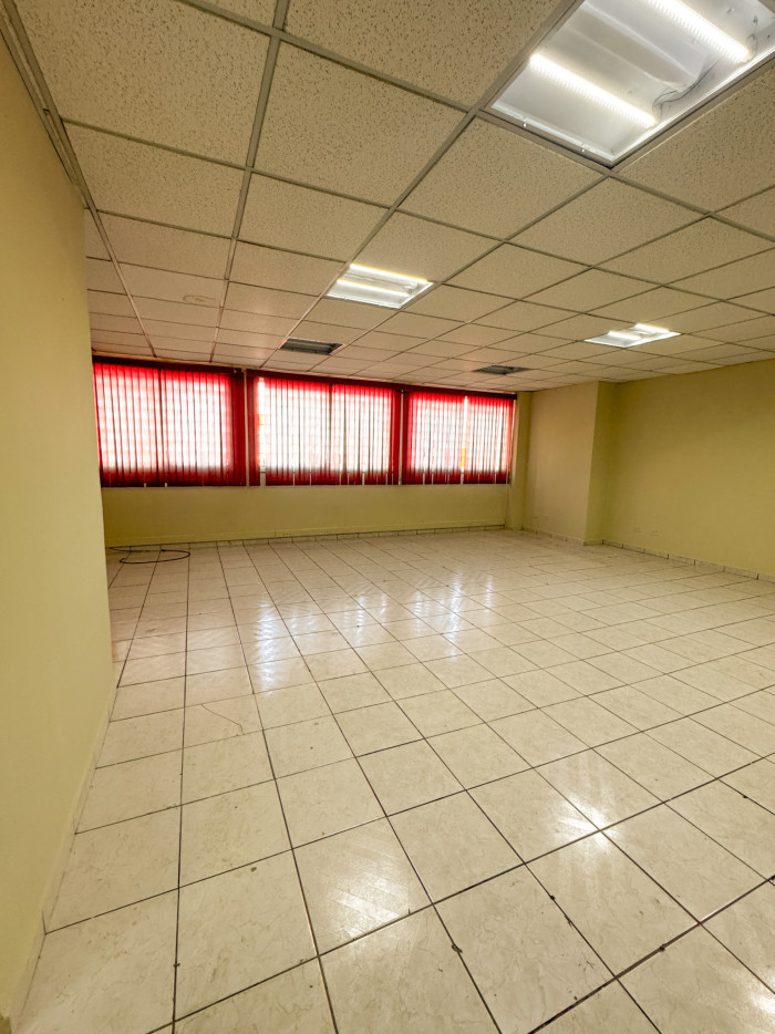 Edificio en Alquiler de 3 Niveles Colonia Flor Blanca - 1