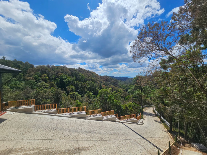 Finca en venta en Fraijanes - Miniatura 6
