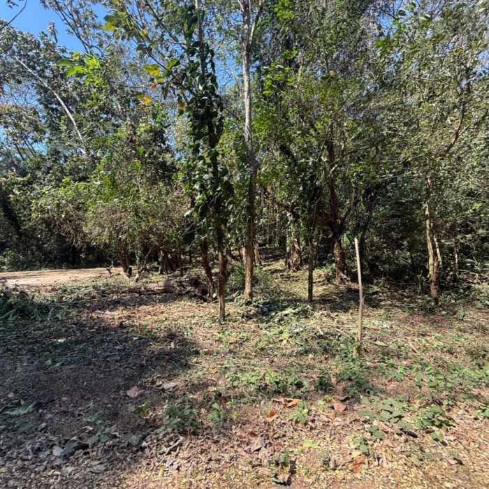 Lote en Venta RioSul, Escuintla, Guatemala - Image 2