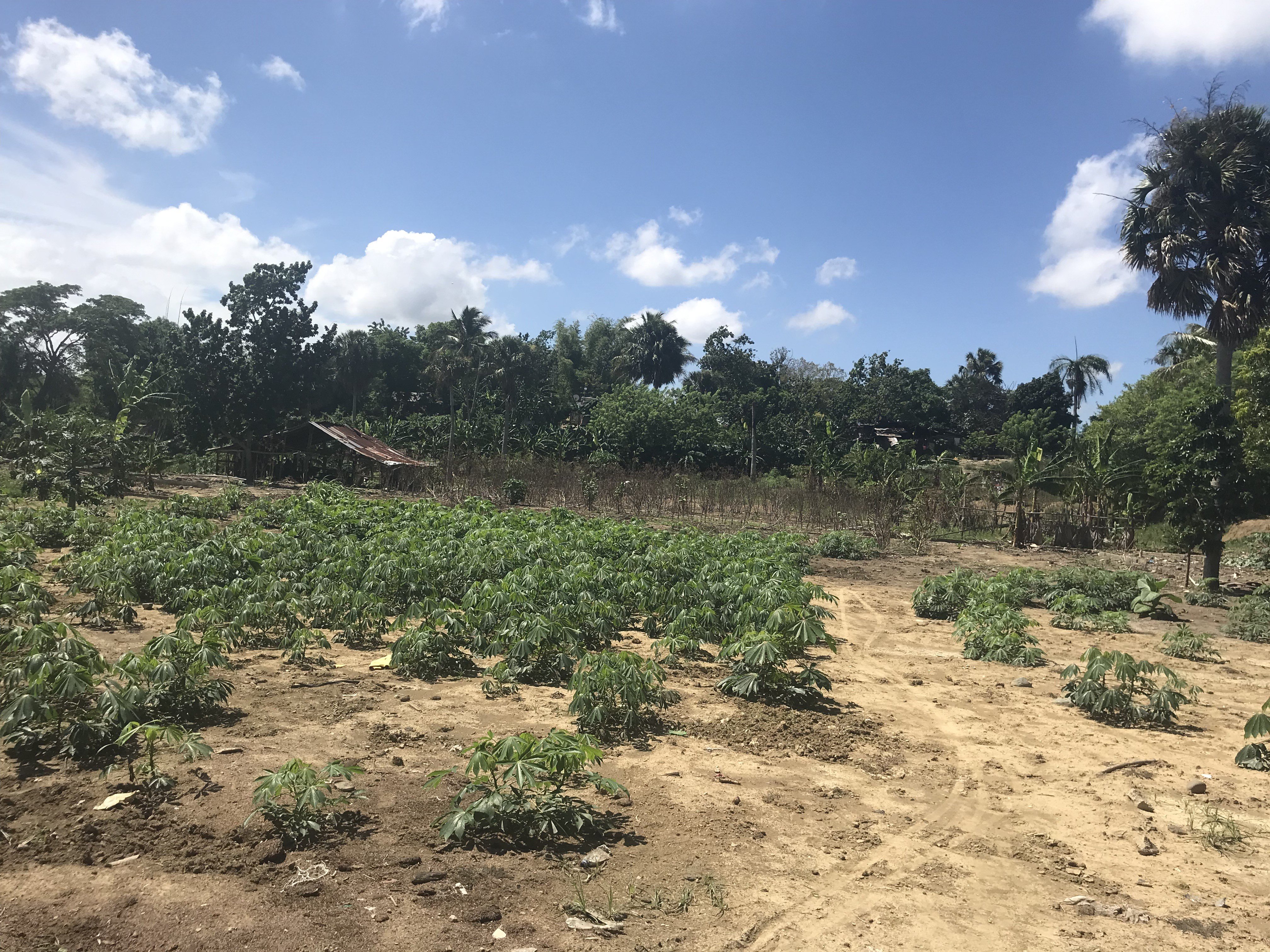 Finca de 30 Tareas para desarrollo Inmobiliario — foto 2