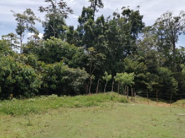 Vendo Finca de 120mnz en Puerto Barrios, Izabal Ref-229 - 2