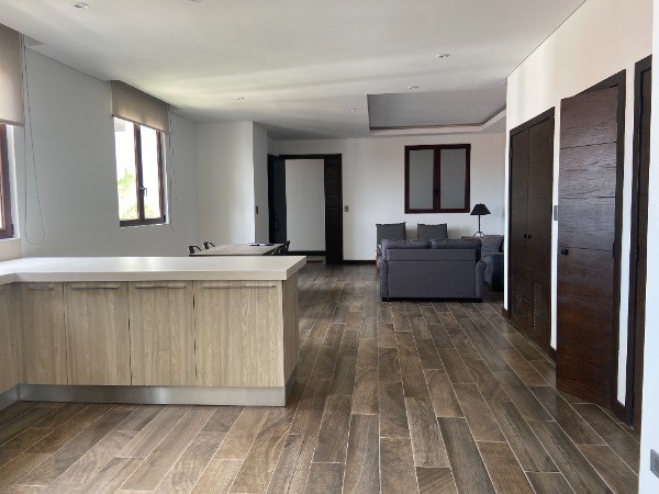 APARTAMENTO AMUEBLADO EN RENTA EN EDIFICIO MAGNOLIAS — foto 6
