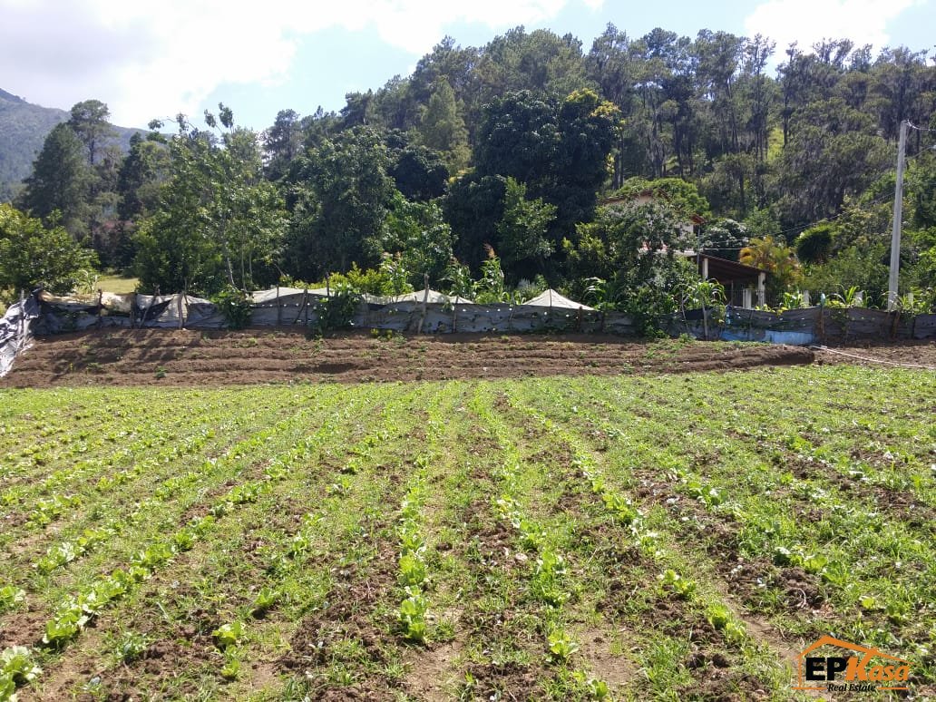 Solar en Venta de 702.60 metros en Constanza - 3