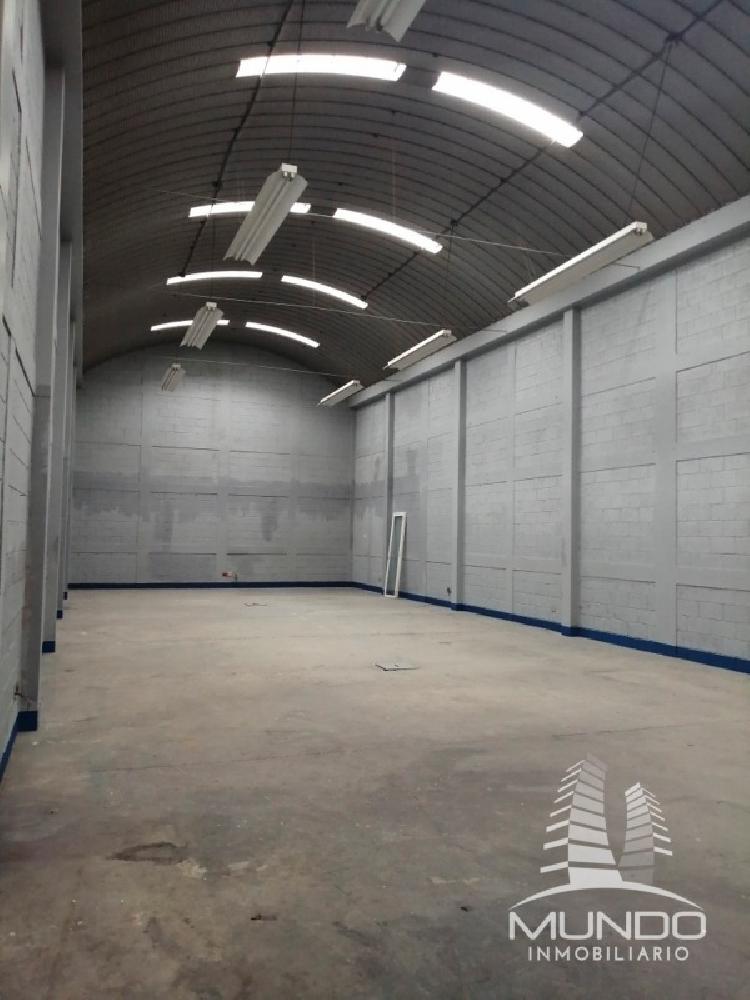 OFIBODEGA EN RENTA EN ZONA 17 / MUNDO INMOBILIARIO - 9
