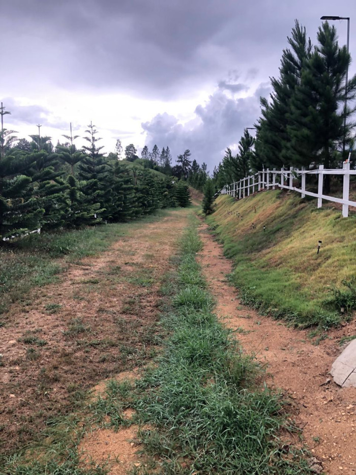 VENTA DE TERRENO EN SAJOMA, LOS MONTONES - 1