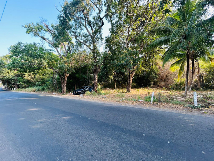 TERRENO GRANDE EN VENTA EN IZTAPA PARA DESARROLLO - 14