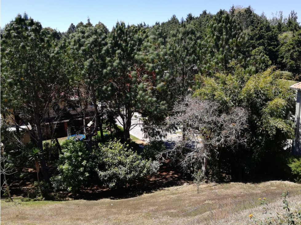 "#Terrenos En San Germán Del Bosque, Fraijanes/D" — foto 9