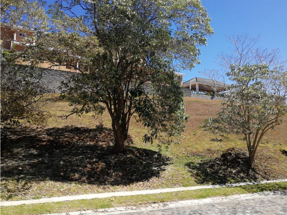 "#Terrenos En San Germán Del Bosque, Fraijanes/D"