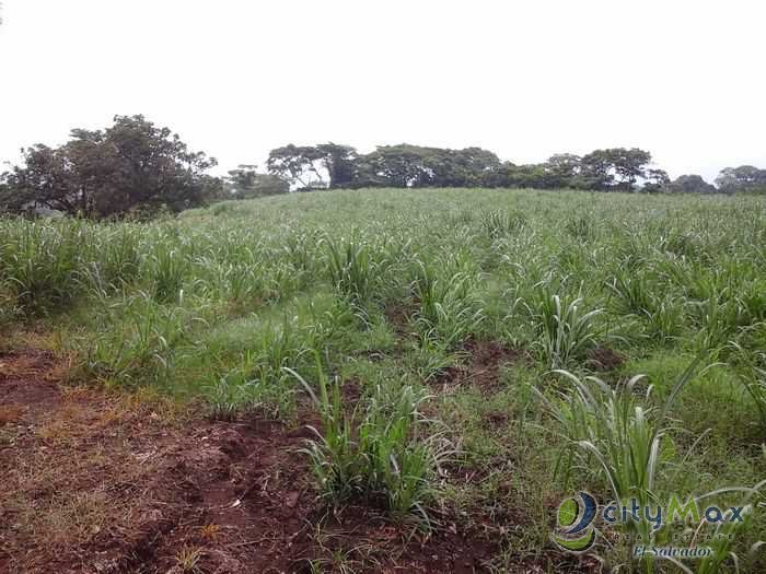 Terreno en venta Armenia Sonsonate comercial o agrícola - 1